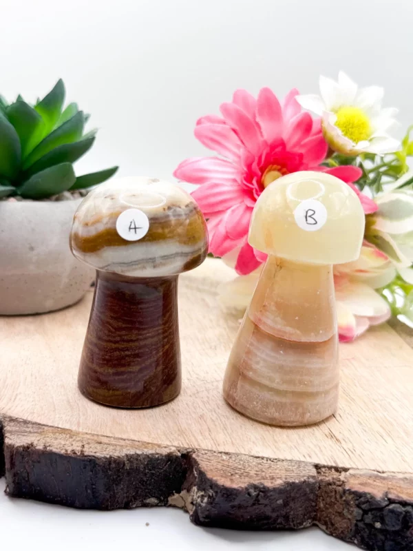60mm Onyx Mushroom Carving, Brown Onyx Mushroom Carving