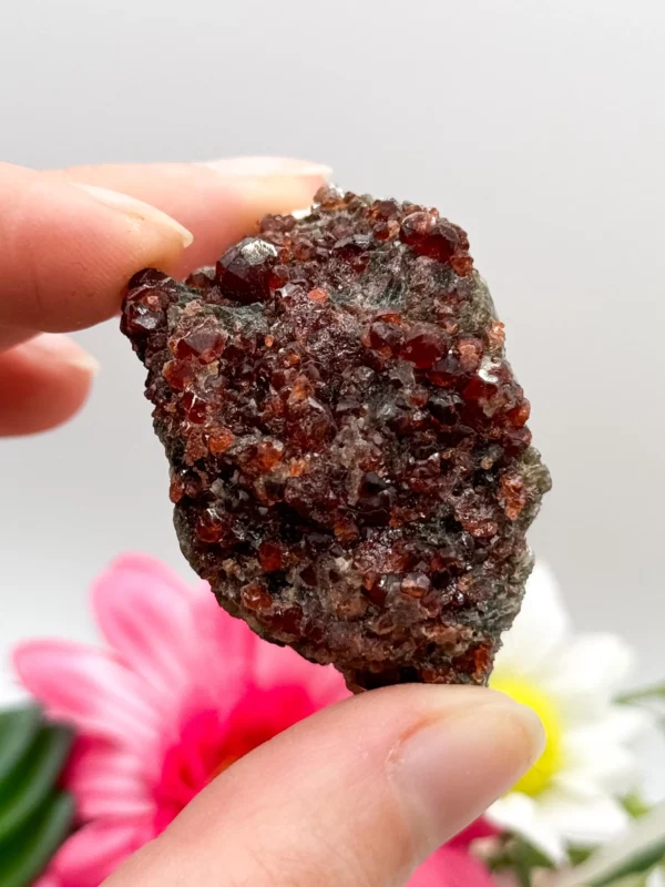 Gorgeous Garnet Specimen - Image 2
